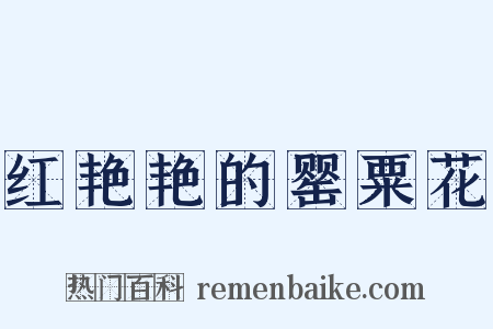 红艳艳的罂粟花是什么意思的图片